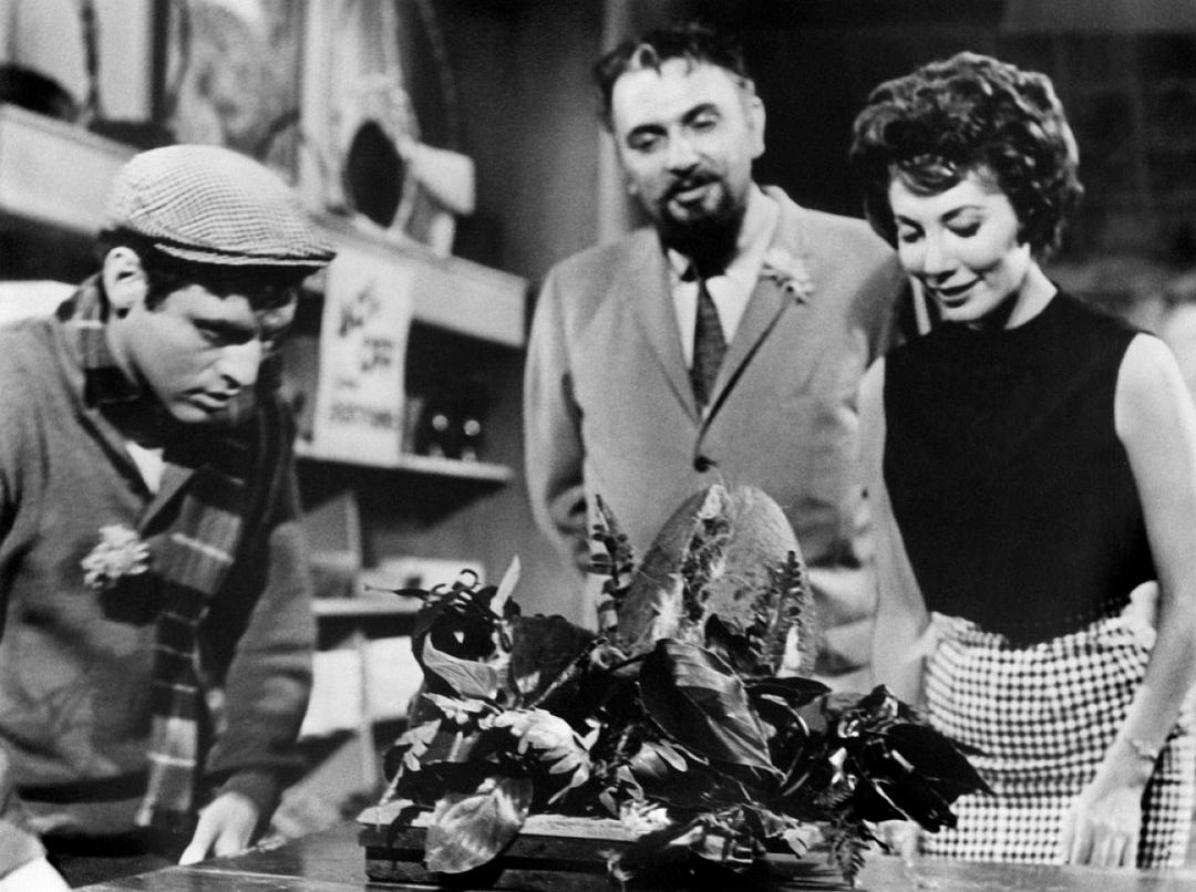 恐怖小店The Little Shop of Horrors(1960)插图2%4K电影下载_3D影视资源_杜比视界迅雷下载