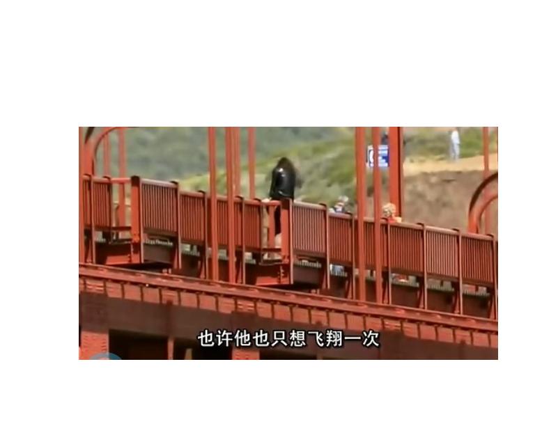 金门大桥The Bridge(2006)插图1%4K电影下载_3D影视资源_杜比视界迅雷下载