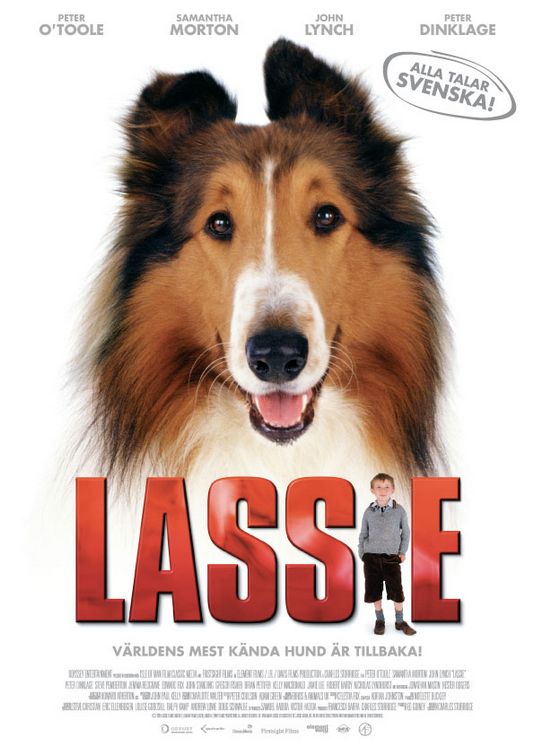 新灵犬莱西Lassie(2005)插图%4K电影下载_3D影视资源_杜比视界迅雷下载