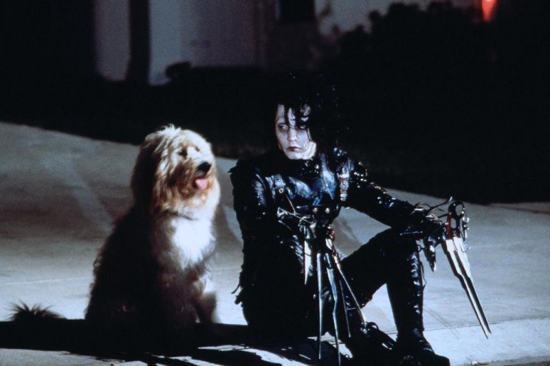 剪刀手爱德华Edward Scissorhands(1990)插图2%4K电影下载_3D影视资源_杜比视界迅雷下载